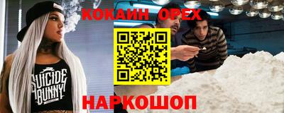 apvp Бердск