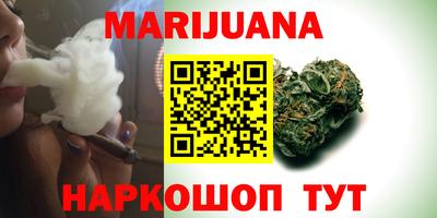 apvp Бердск