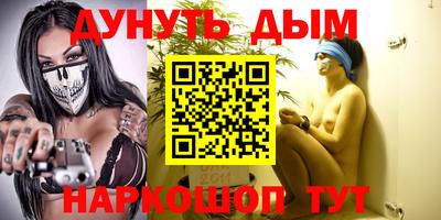 apvp Бердск
