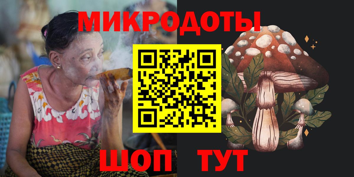 Псилоцибиновые грибы Psilocybe Камышин